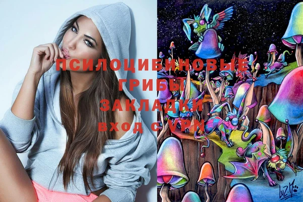 ALPHA PVP Богородицк