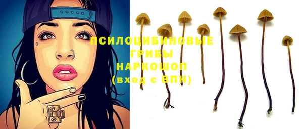 ALPHA PVP Богородицк