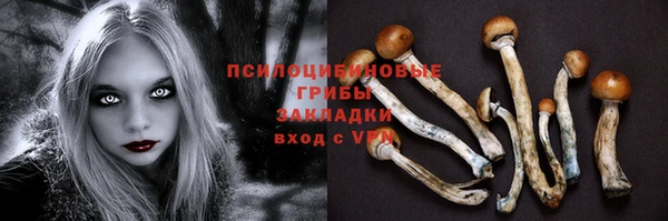 ALPHA PVP Богородицк