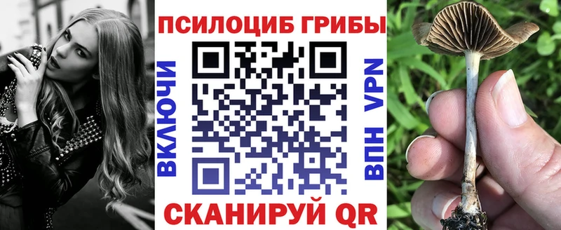 Галлюциногенные грибы Cubensis  мега ссылки  Мышкин  что такое  